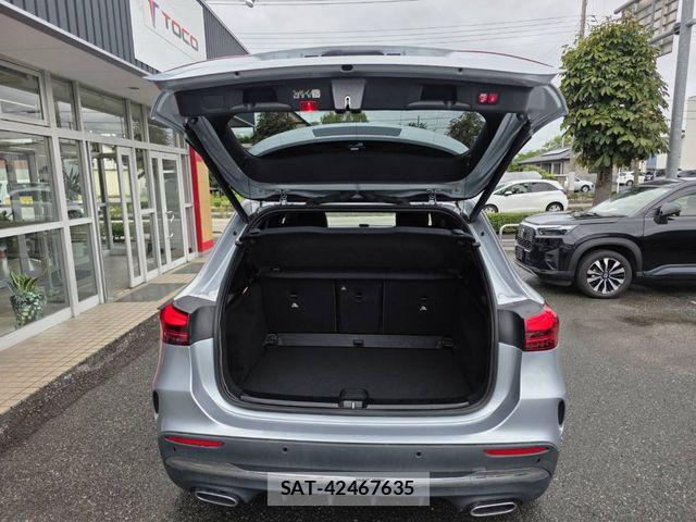 Mercedes Benz GLA-CLASS 2024-11 8781002-25