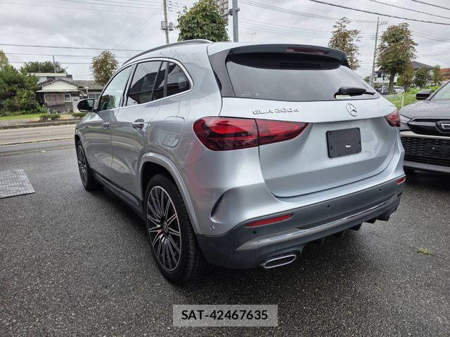 Mercedes Benz GLA-CLASS 2024-11 8781002-2