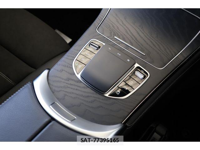 Mercedes Benz GLC-CLASS 2020-01 5871889-17