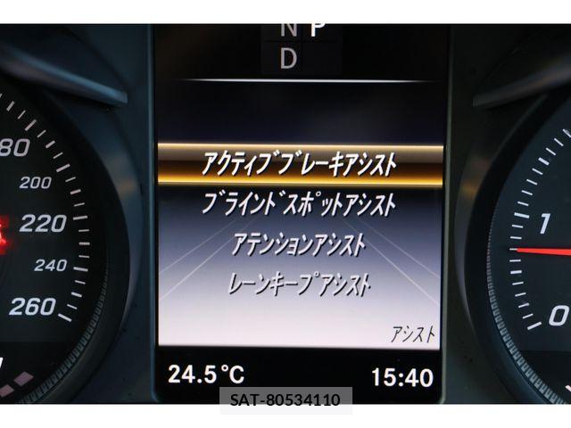 Mercedes Benz GLC-CLASS 2019-09 6613216-10