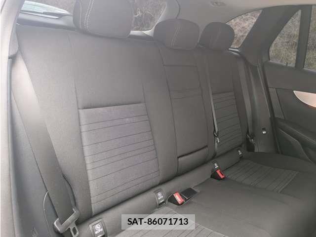 Mercedes Benz GLC-CLASS 2016-09 6676850-13