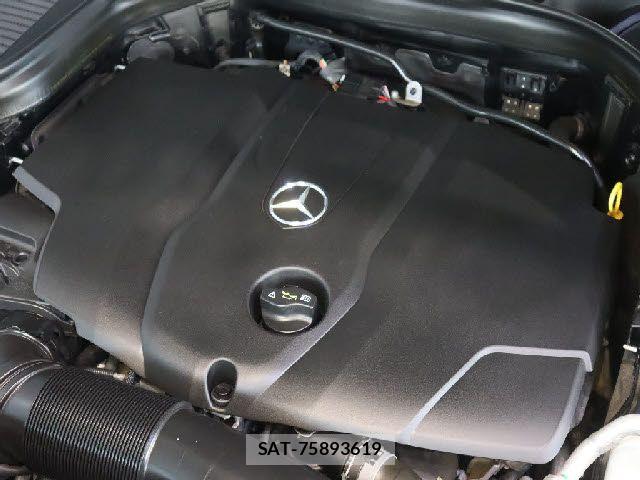 Mercedes Benz GLC-CLASS 2019-07 7221672-17