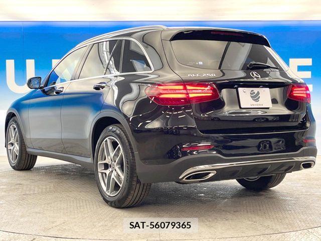 Mercedes Benz GLC-CLASS 2016-06 7221660-18