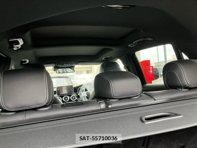 Mercedes Benz GLC-CLASS 2019-02 7328333-16