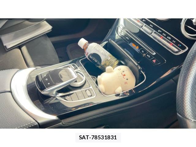 Mercedes Benz GLC-CLASS 2016-03 7328336-11