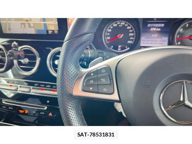 Mercedes Benz GLC-CLASS 2016-03 7328336-12
