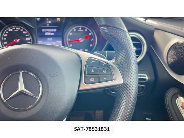 Mercedes Benz GLC-CLASS 2016-03 7328336-13