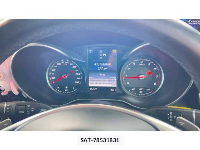 Mercedes Benz GLC-CLASS 2016-03 7328336-8