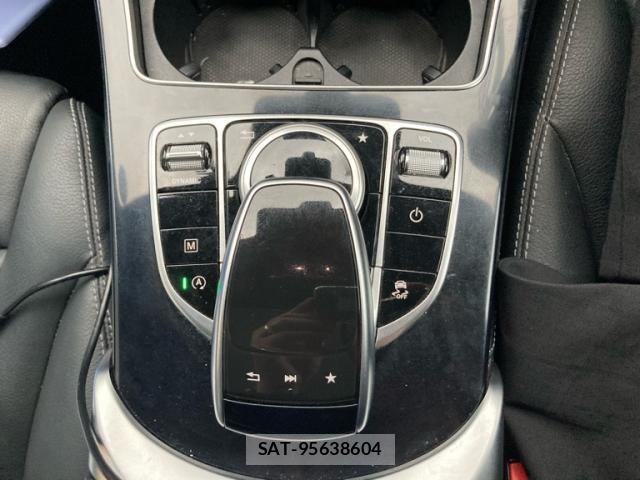 Mercedes Benz GLC-CLASS 2019-04 7358738-12