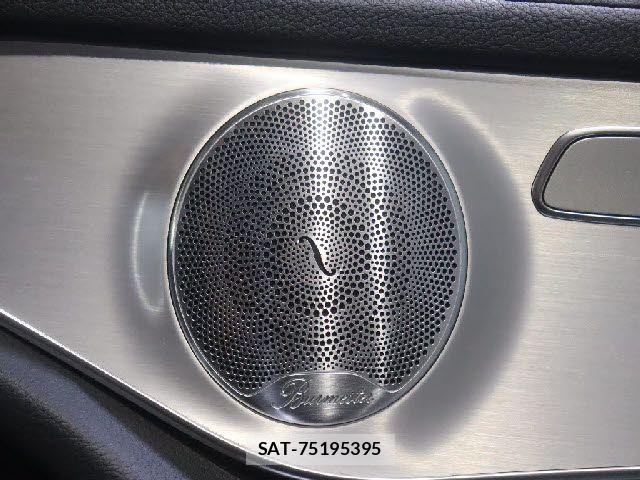 Mercedes Benz GLC-CLASS 2016-01 7877734-14