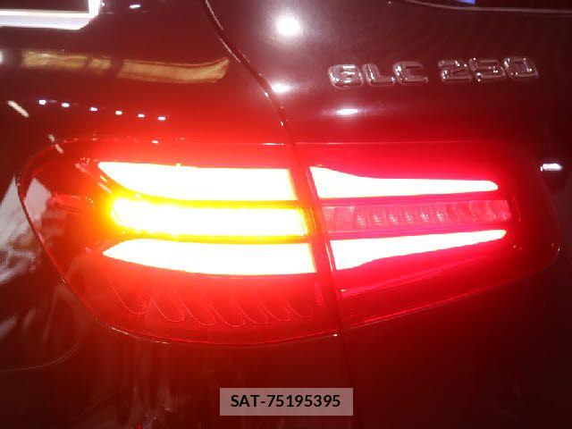 Mercedes Benz GLC-CLASS 2016-01 7877734-24