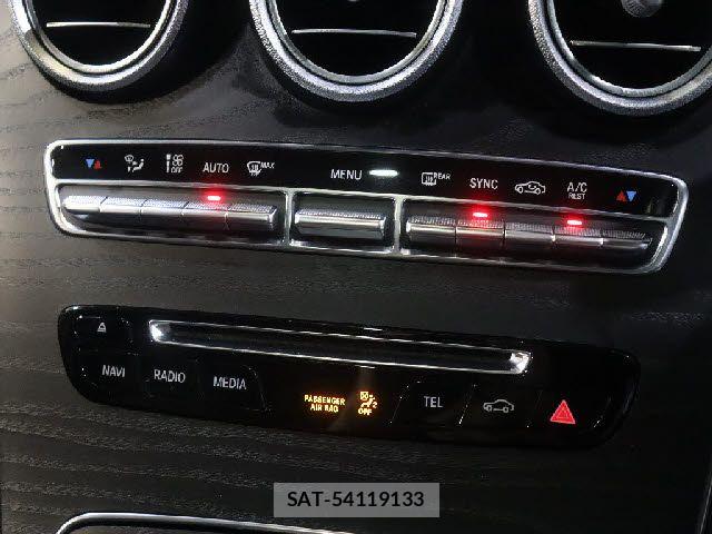 Mercedes Benz GLC-CLASS 2019-06 8100407-16