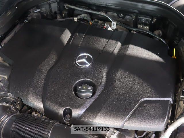 Mercedes Benz GLC-CLASS 2019-06 8100407-17
