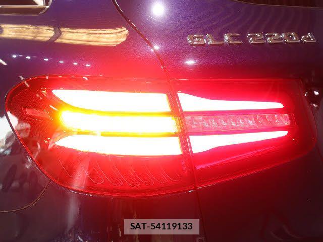 Mercedes Benz GLC-CLASS 2019-06 8100407-24