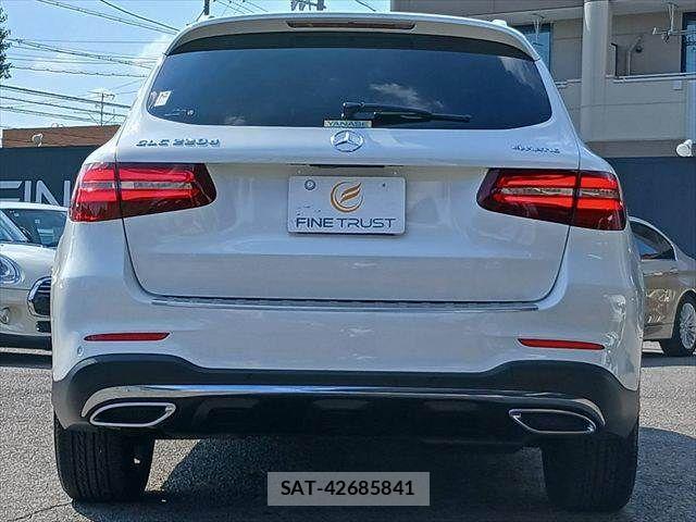 Mercedes Benz GLC-CLASS 2019-02 8131197-17