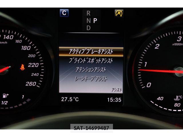 Mercedes Benz GLC-CLASS 2018-04 8830274-10