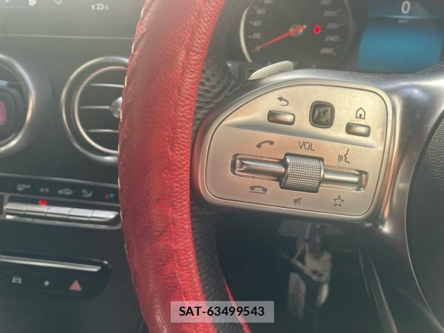 Mercedes Benz GLC-CLASS 2019-12 8849780-15
