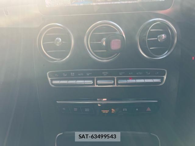 Mercedes Benz GLC-CLASS 2019-12 8849780-26