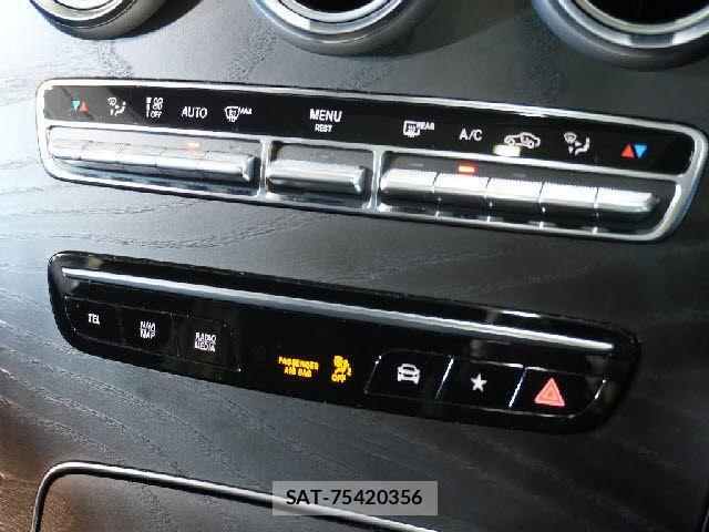 Mercedes Benz GLC-CLASS 2019-11 3379311-14