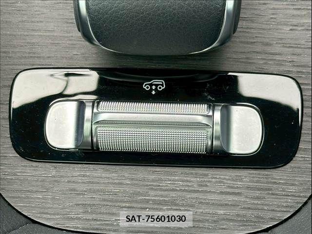 Mercedes Benz GLE-CLASS 2020-04 7725604-10