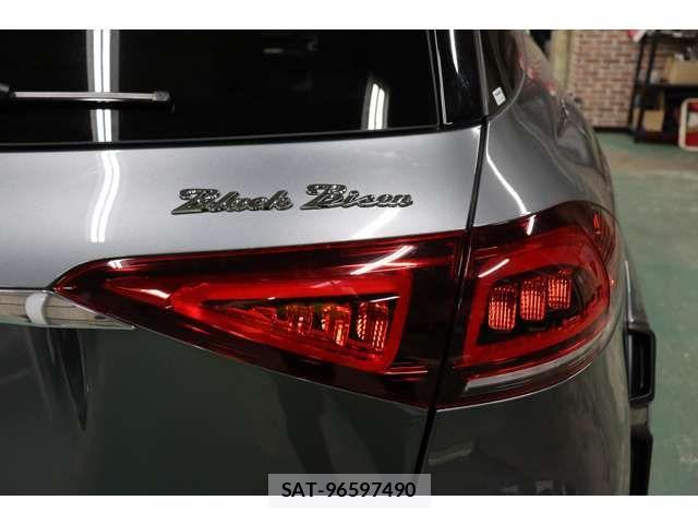 Mercedes Benz GLE-CLASS 2019-10 7979972-14