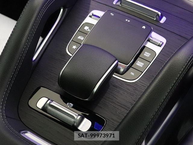 Mercedes Benz GLE-CLASS 2021-01 8074568-21
