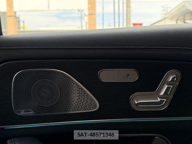 Mercedes Benz GLE-CLASS 2020-04 8315424-19