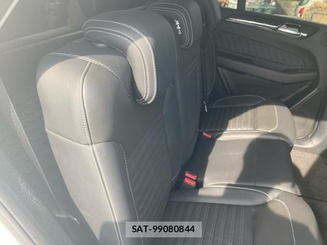 Mercedes Benz GLE-CLASS 2017-06 8354932-12