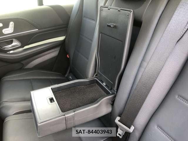 Mercedes Benz GLE-CLASS 2021-07 8685946-16