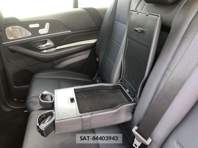 Mercedes Benz GLE-CLASS 2021-07 8685946-17