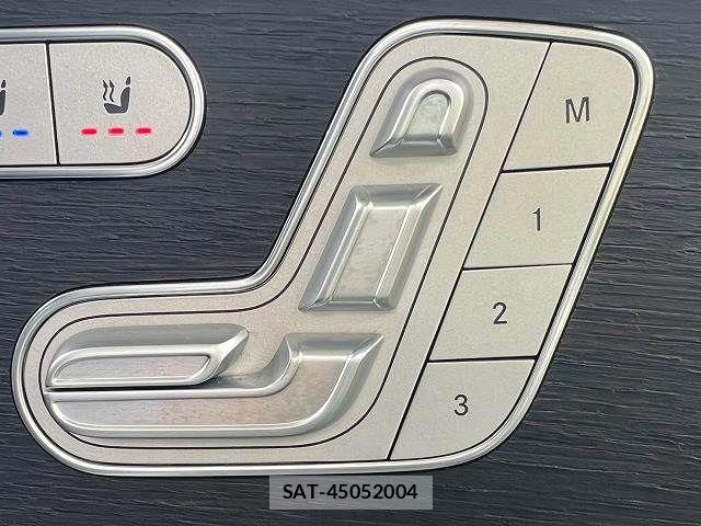 Mercedes Benz GLE-CLASS 2021-08 8796646-8