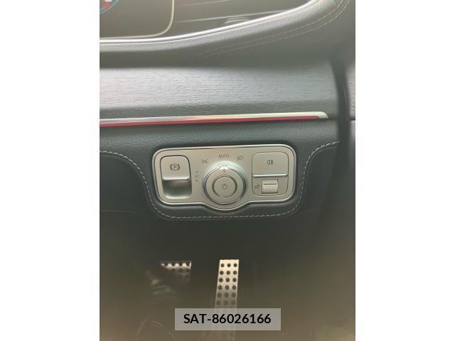 Mercedes Benz GLE-CLASS 2021-09 8871445-16