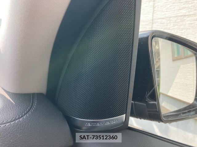 Mercedes Benz GLE-CLASS 2015-10 8880763-24