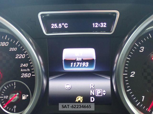 Mercedes Benz GLE-CLASS 2016-06 7786999-12