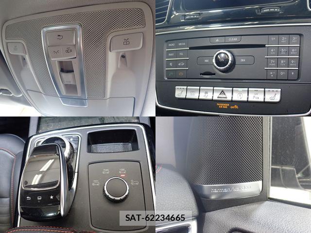 Mercedes Benz GLE-CLASS 2016-06 7786999-19