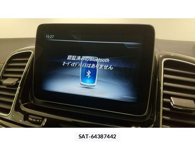 Mercedes Benz GLE-CLASS 2021-01 7979974-7