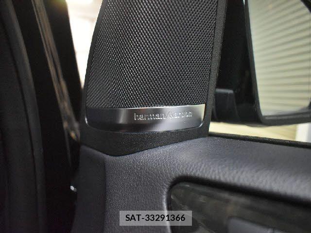 Mercedes Benz GLE-CLASS 2017-11 8036745-14