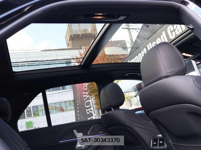 Mercedes Benz GLE-CLASS 2025-02 4596484-11