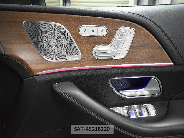 Mercedes Benz GLE-CLASS 2019-06 6245681-12