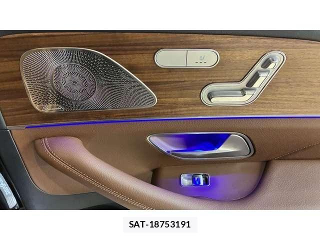 Mercedes Benz GLE-CLASS 2025-06 7501490-24