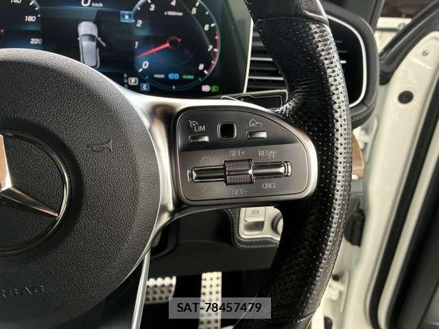 Mercedes Benz GLE-CLASS 2020-01 8036751-12