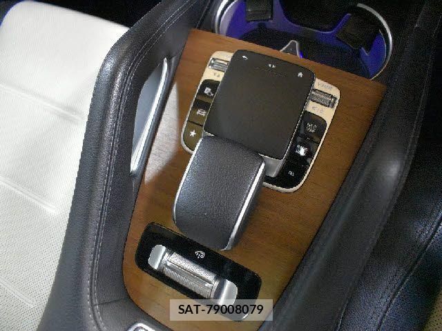 Mercedes Benz GLE-CLASS 2020-01 8315426-11