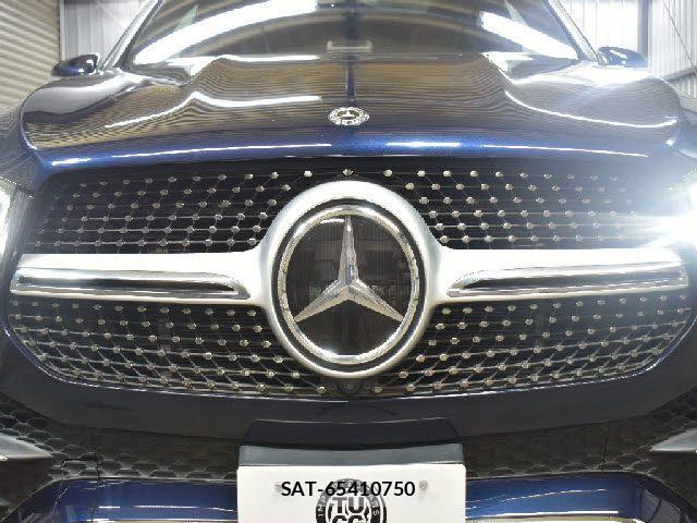 Mercedes Benz GLE-CLASS 2021-01 8627693-25