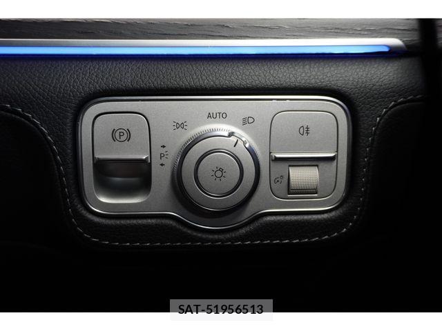 Mercedes Benz GLS-CLASS 2023-01 4176222-13