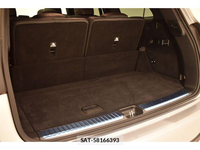Mercedes Benz GLS-CLASS 2024-06 6908369-21