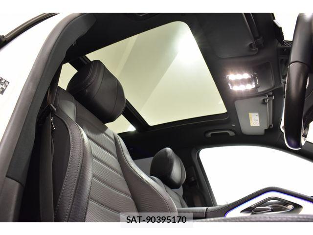 Mercedes Benz GLS-CLASS 2020-07 7221694-12