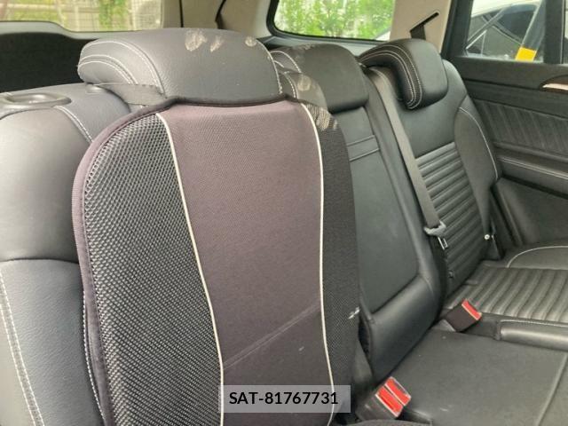 Mercedes Benz GLS-CLASS 2017-12 7509207-12