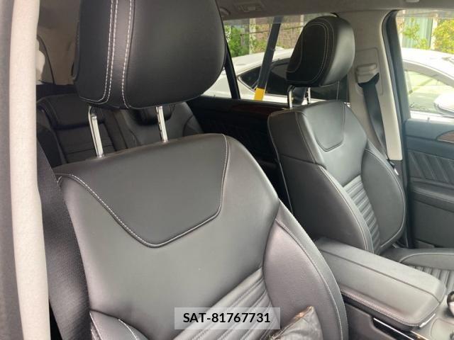 Mercedes Benz GLS-CLASS 2017-12 7509207-13