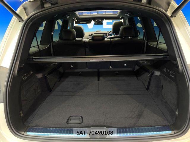 Mercedes Benz GLS-CLASS 2021-06 7725614-12