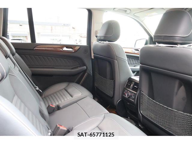 Mercedes Benz GLS-CLASS 2018-02 7725619-13